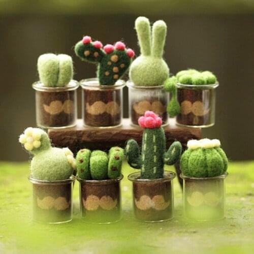 Cactus Needle Felting Kits with Glass Pots, Felting Starter Kit, Contains Enough Felting Wool and Tools, English Manual