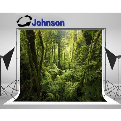 Rain forest tree cloud magic backdrop High quality Computer print wall photo studio background