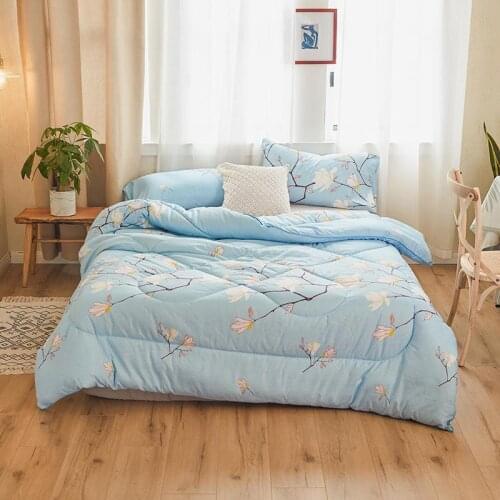 Printed Thicker, Soft and Warm Autumn and Winter Single Quilt in Homes and Hotels Skin-Friendly Bed Covers for Family Sleep