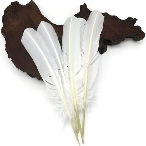 20pcs Turkey White feathers crafts DIY feathers for jewelry making hats wedding decoration Accessories clothes material 25-30CM