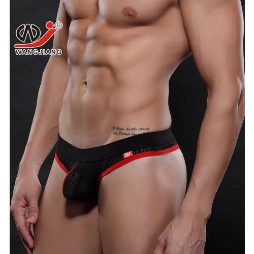 2020 Mens Sexy Underwear Mens Mesh Breathable Briefs Comfortable Low-Waist Solid Gay Briefs
