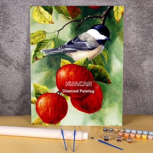 Bird Animal DIY Painting By Numbers Complete Kit Oil Paints 50*70 Picture By Numbers Photo Handmade Kids Drawing