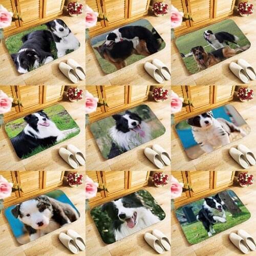 Cute Border Collie Dog Doormat Coir Door Mat Indoor Outdoor Welcome Floor Mats NEW soft material Modern style 40x60cm antislip
