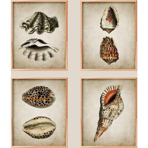 Retro Seashell Posters Prints Marine Canvas Painting Nautical Vintage Wall Art Pictures Bathroom Living Room Home Decor