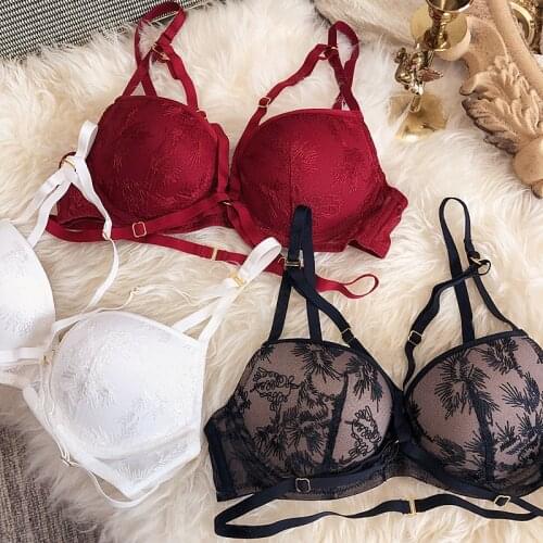 Hollow out embroidery women sexy underwear sets black red white push up bra and panty sets Multipath lingerie female intimates