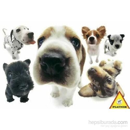 Dogs, Yoneo Morita (100 Piece Jigsaw Puzzle)
