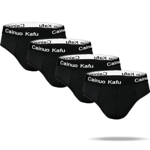 4 Pcs/Lot Gay Sexy Underwear Men Underwear Solid Mens Briefs Men Underpants Bamboo Panties Mens Bikini Gay Underwear Slip Hombre