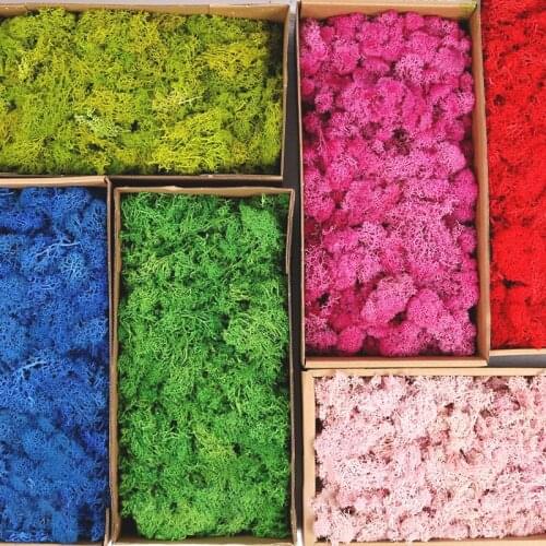 High Quality Artificial Green Plant Moss Immortal Moss Simulation Grass Home Decorative Wall DIY Micro Landscape Accessories