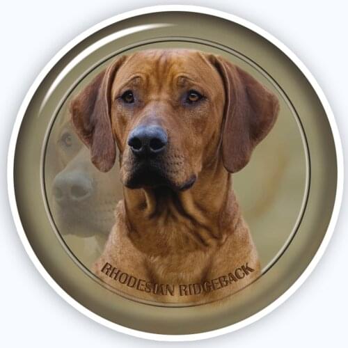 A0689# Various Sizes Removable Decal Rhodesian Ridgeback 88 Sticker Waterproof Accessories on Bumper Rear Window Laptop