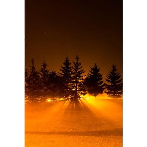 Diamond embroidery, Needlework, diy full drill diamond painting, picture 3d crystal rhinestones mosaic - Sunshine & pine A6929R