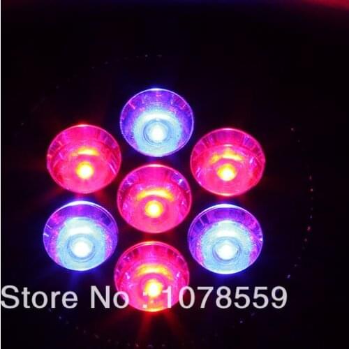 LED Plant Lamps XY China