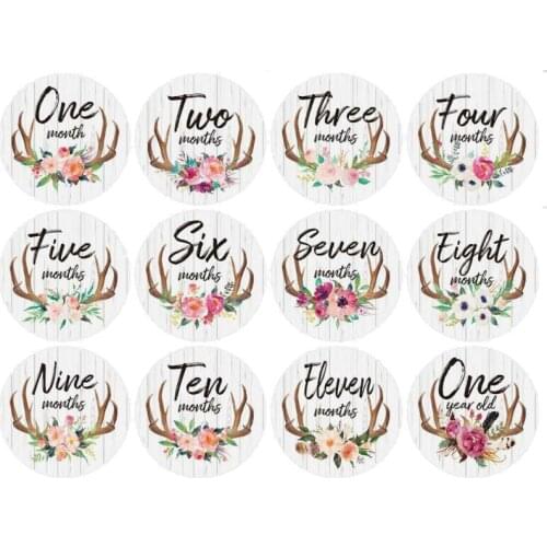 First Year Monthly Milestone Photo Sharing Baby Belly Stickers, 1-12 Months, Neutral