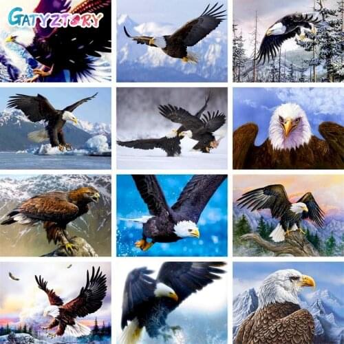 GATYZTORY 60x75cm DIY Painting By Numbers Eagle Picture Coloring Animal HandPainted Oil Painting Home Decor Unique Gift