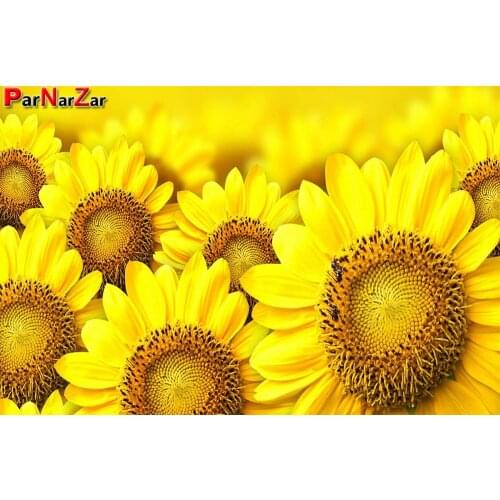 ParNarZar 5d Diy Full Drill Diamond Painting Sunflower Scenery Embroidery Mosaic Landscape Cross Stitch Kits Art Home Decor