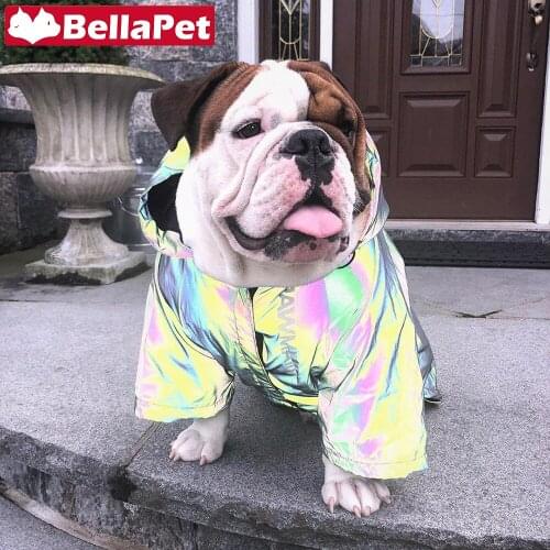 Reflective Fashion Dog Clothes for Medium Small Dogs Luxury Clothes for Dogs for Winter Pet Product Dog Accessories Pug Pitbull