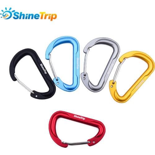 5pc Outdoor Climbing Buckle D Shape Aluminium Alloy Buckle Carabiner Survial Key Chain Climb Hook Clip Backpack Buckle Keychain