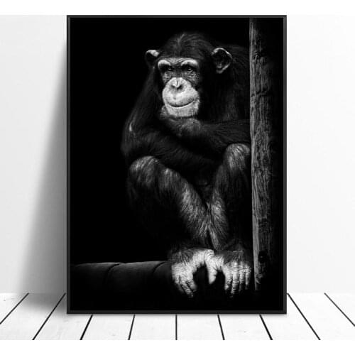 Black and white Orangutan Elephant Art Canvas Poster Home Decoration Painting No Frame