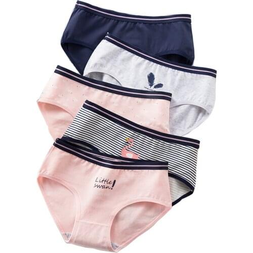 ZJX 5Pcs/lot Cotton Panties Women Underwear Sexy Underpants Women Seamles Cute Briefs Soft Comfort Girls Lingeries 8120 XXL