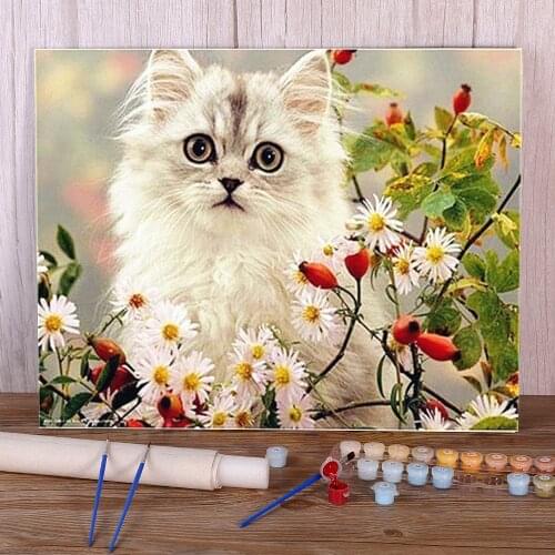 Flower Cats Animal Paint By Numbers Set Oil Paints 40*50 Painting On Canvas Loft Wall Picture Children Drawing