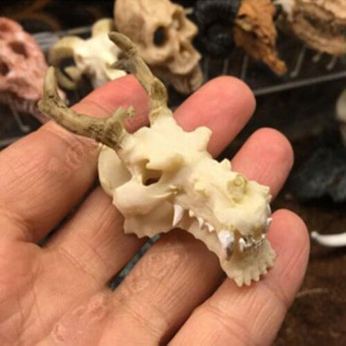 Resin Goat Dragon Animal Skull Aquarium Reptile House for Aquarium Decoration Cave Family Daily Decoration