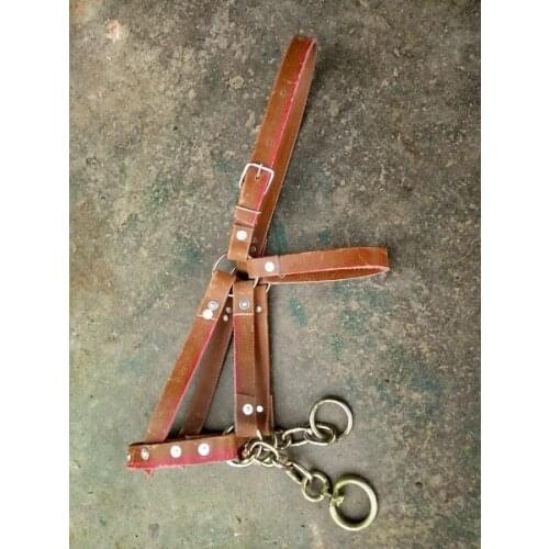 Horse Bridle Horse With Head Snaffle Full Walk Horse Adjustment Bolt Horse Cords Horse Headstall