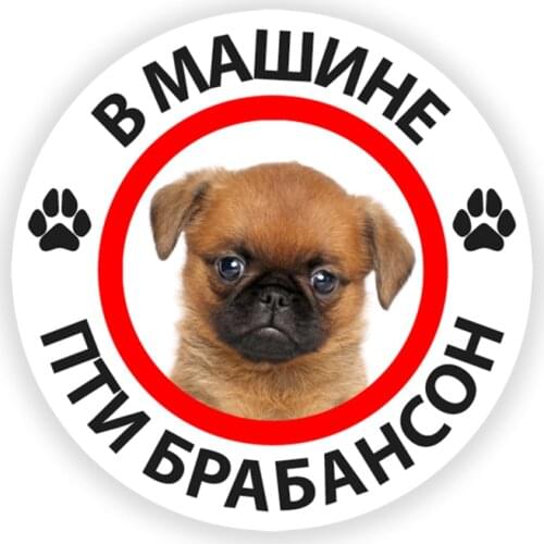 B0215 Self-adhesive Decal Pti Brabanson in the Car Car Sticker Waterproof Auto Decors on Bumper Rear Window