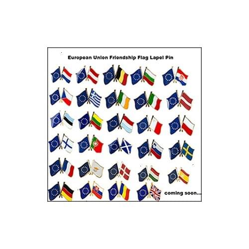 European Union Friendship Flag Badge Lapel Pin Pin 1 pc a lot