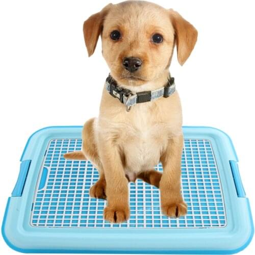 Detachable Plastic Pet Mesh Potty Toilet Training Tray for Small Medium Large Dog Cat Puppy Kitten Pet Supplies 46x36cm
