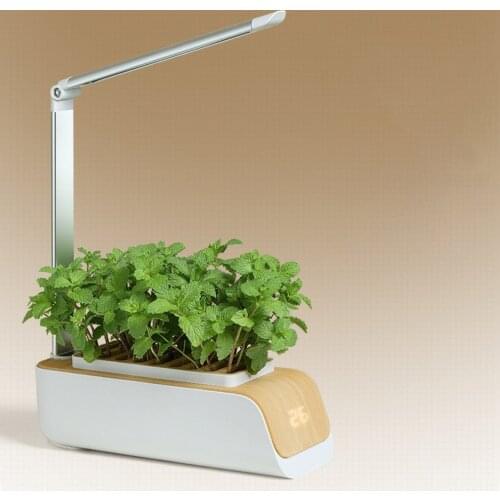 AMW Plant Pots