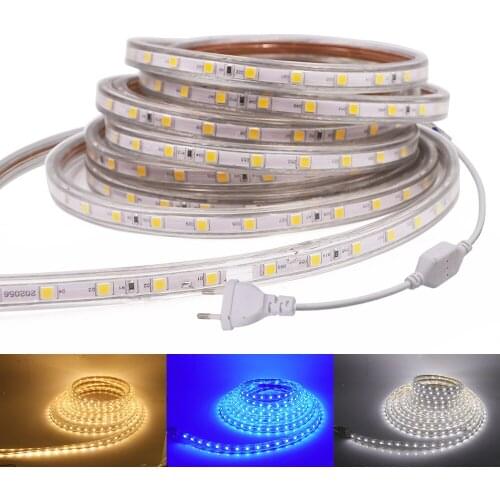 LED Strip 220V SMD 5050 Flexible Light 60Leds/m Waterproof Led Tape Led Light Stripe With Power Plug White/Warm White/Blue