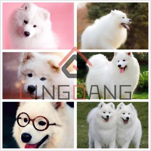 5D DIY Diamond Painting Dog Animal Samoyed Full Square Round Drill Cross Stitch Diamond Embroidery Animal Mosaic Kits Home Decor