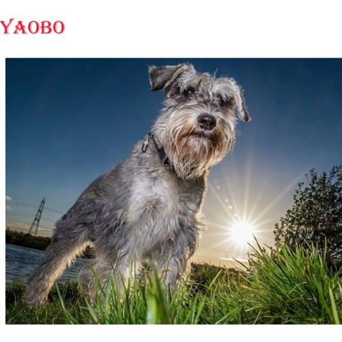 NEW 5d diy Diamond embroidery Animal,Pet dog,schnauzer dog diamond painting Cross Stitch full square Rhinestone mosaic decor