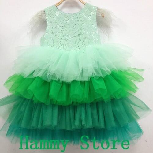 Elegant Blue Crystal Tulle Flower Girl Dress for Wedding Kids Pageant Evening Gown Birthday Party Feather Lace Princess Dresses