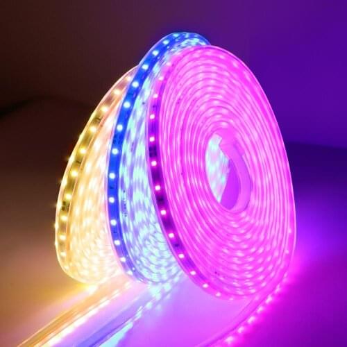 220V LED Strip Waterproof Outdoor lamp High Brightness Flexible Neon luces LED Lights Fita Home Backlight With Power Plug
