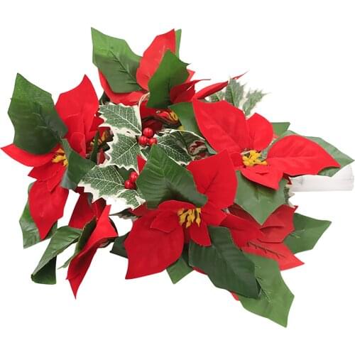 AliWarm LED Holiday Light Bulbs