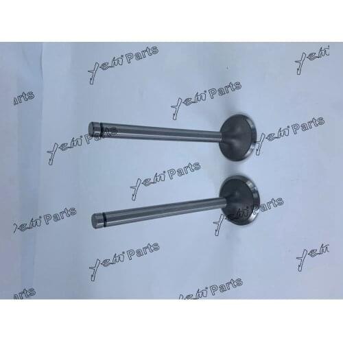 Free Shipping Ek130 Intake And Exhaust Valve For Hino Engine