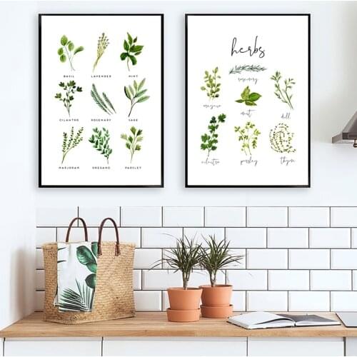 Herbs Canvas Print and Poster Watercolor Basil Oregano Sage Cilantro Canvas Painting Botanical Picture Kitchen Wall Art Decor