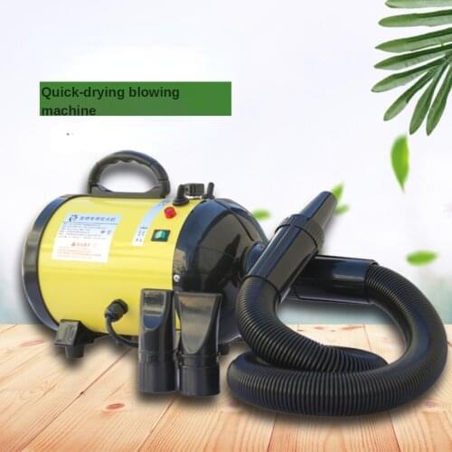 1200W Pet Water Blower Large Dog Hair Blow Dryer Adjustable Temperature High Power Low Noise Teddy Golden Dog Hair Dryer