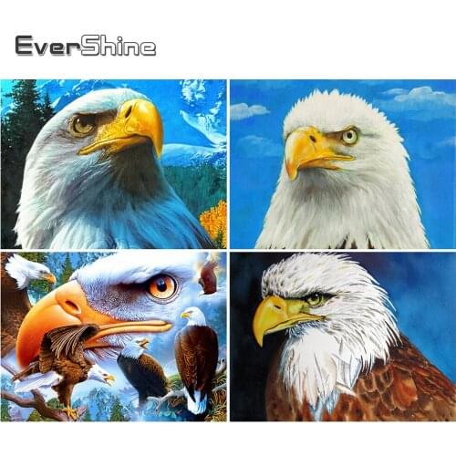 EverShine 5D DIY Diamond Embroidery Eagle Cross Stitch Set Diamond Mosaic Animal Rhinestones Art Painting Needlework Home Decor