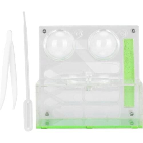 Transparent Acrylic Ant Breeding Box Watching Feeding Moisturizing Ants Case B Type Insects Box Insect Cage Ants Case