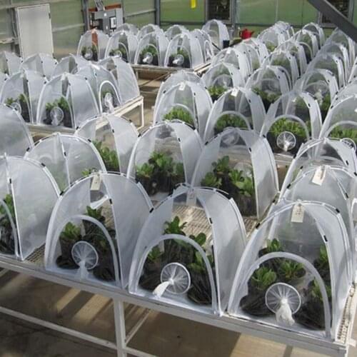 Multifunctional Plant Insulation Shed Garden Greenhouse Folding Mini Transparent Greenhouses PVC Warm Room PVC Warm Garden Set