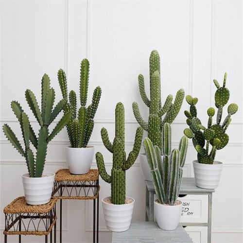 Artificial Cactus Garden Plant Garden Simulation Desk Decoration Holiday Gift Home Decoration
