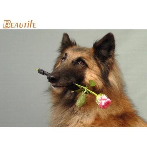 New Arrival funny dog Poster Cloth Silk Poster Home Decoration Wall Art Fabric Poster Print 30x45cm, 40X60cm.50X75cm,60X90cm