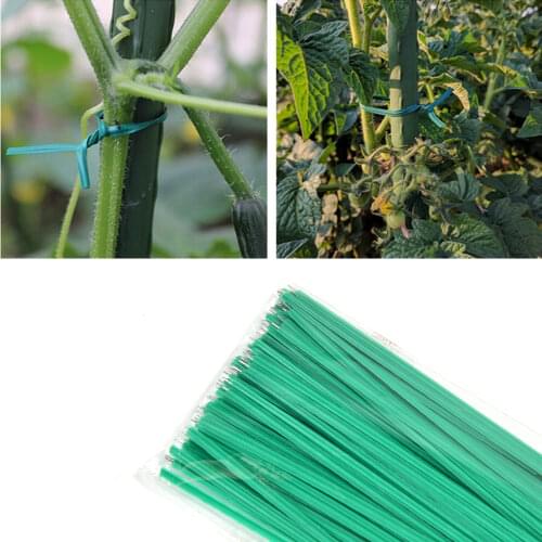 100pcs Green Gardening Vine Climbing Plants Cable Tie Lines Plant Parts Flower Cucumber Grape Rattan Supports plant support