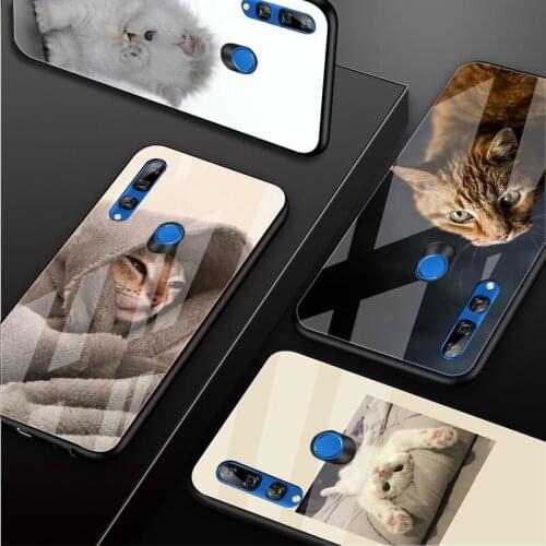 Cute Cat Tempered Glass Phone Case For Huawei honor 8X 9 10i 20i 20Lite 20Pro 30 Pro Cover Shell