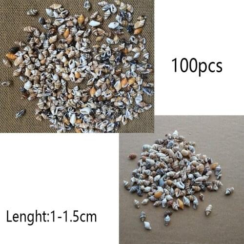 100pcs/Lot Small Miscellaneous Conch Home toysDecoration Material Natural Craft Seashell Aquarium Fish Tank Landscape