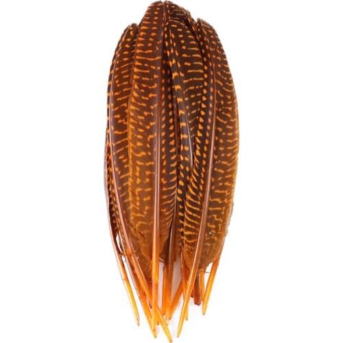 10pcs/Lot Natural Guinea peacock Fowl Jewelry Costume Festival Hat Decoration Feathers 20-25CM Pheasant Feather for Craft Plumes