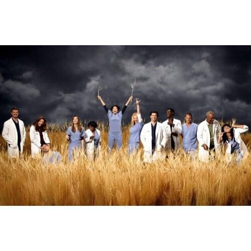 Home Decor Greys Anatomy TV Show 4-Silk Art Poster Wall Sticker Decoration Gift