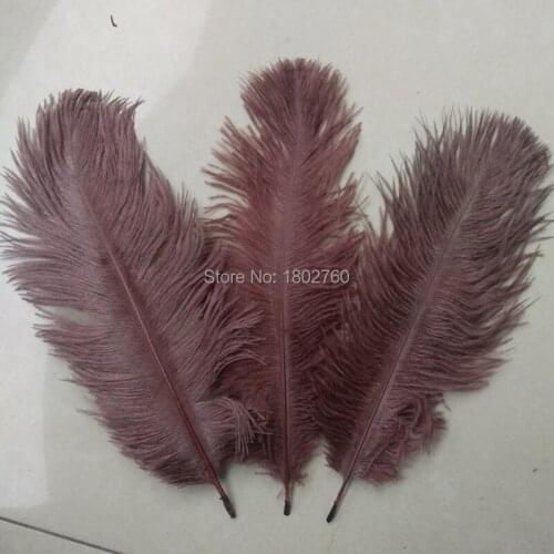 Beautiful brawn ostrich feather 10 pcs feather length 8-10 inches / 20-25 cm DIY wedding costumes and hat decorations