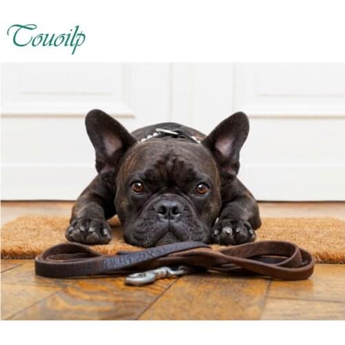 DIY 5d diamond painting black French bulldog full dog 5d diamond embroidery square&round diamond mosaic full paste pattern Beads